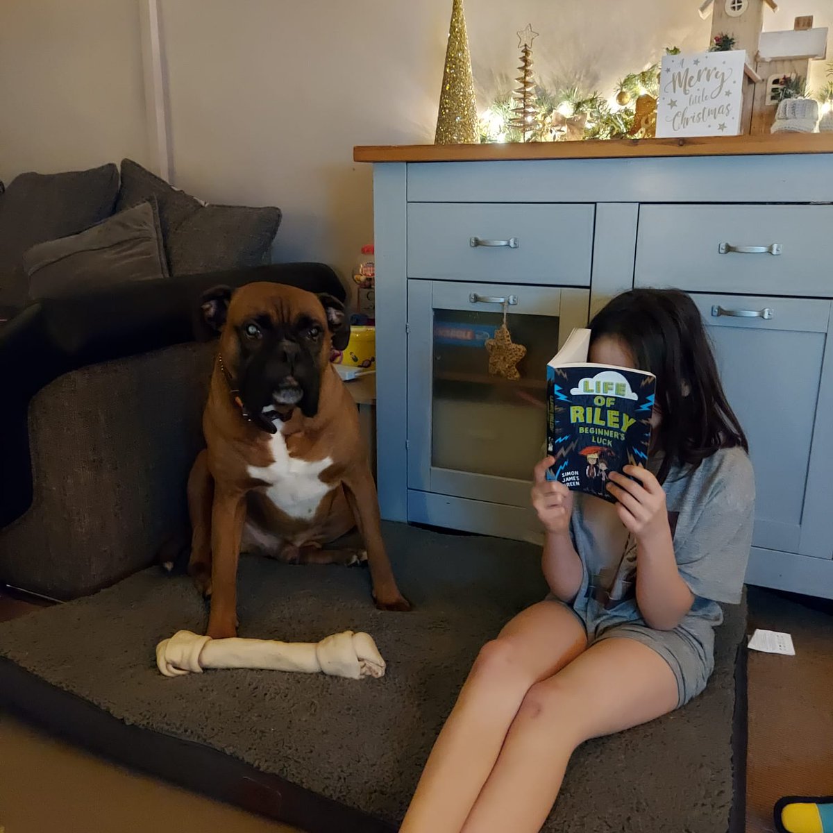 Miss_E_Styles's tweet photo. @BeechviewHWyc @Booktrust @cbbc We've been desperate to work our way through all 6 of the Blue Peter Book Awards shortlist at home in our spare time! https://t.co/YyvP0fuxLI