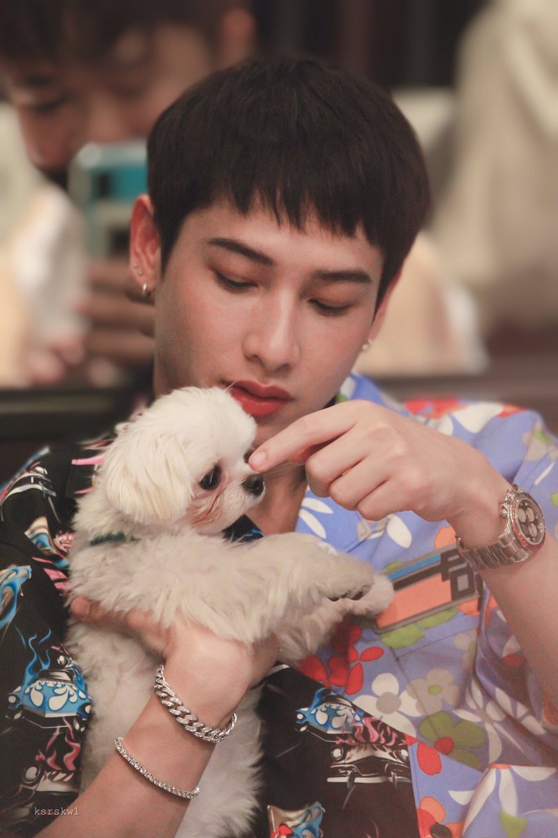 ksrskw1's tweet photo. บี่บี๋มองงงมาาา🥺💚🤏🏻#GreyhoundCafe
#ออฟกัน 
@AtthaphanP https://t.co/iF0Hdtcu5d