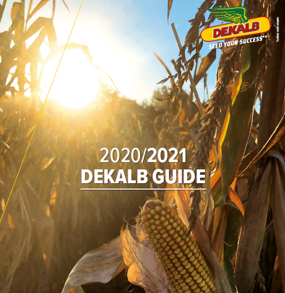 🌽📰 Envie d’en savoir plus sur les actualités de votre région et de DEKALB ? Allez vite découvrir nos nouveaux DEKAKB Guide 2020 - 2021  :  dekalb.fr/mais-grain/dek… 

#Maïsgrain #MaïsDEKALB