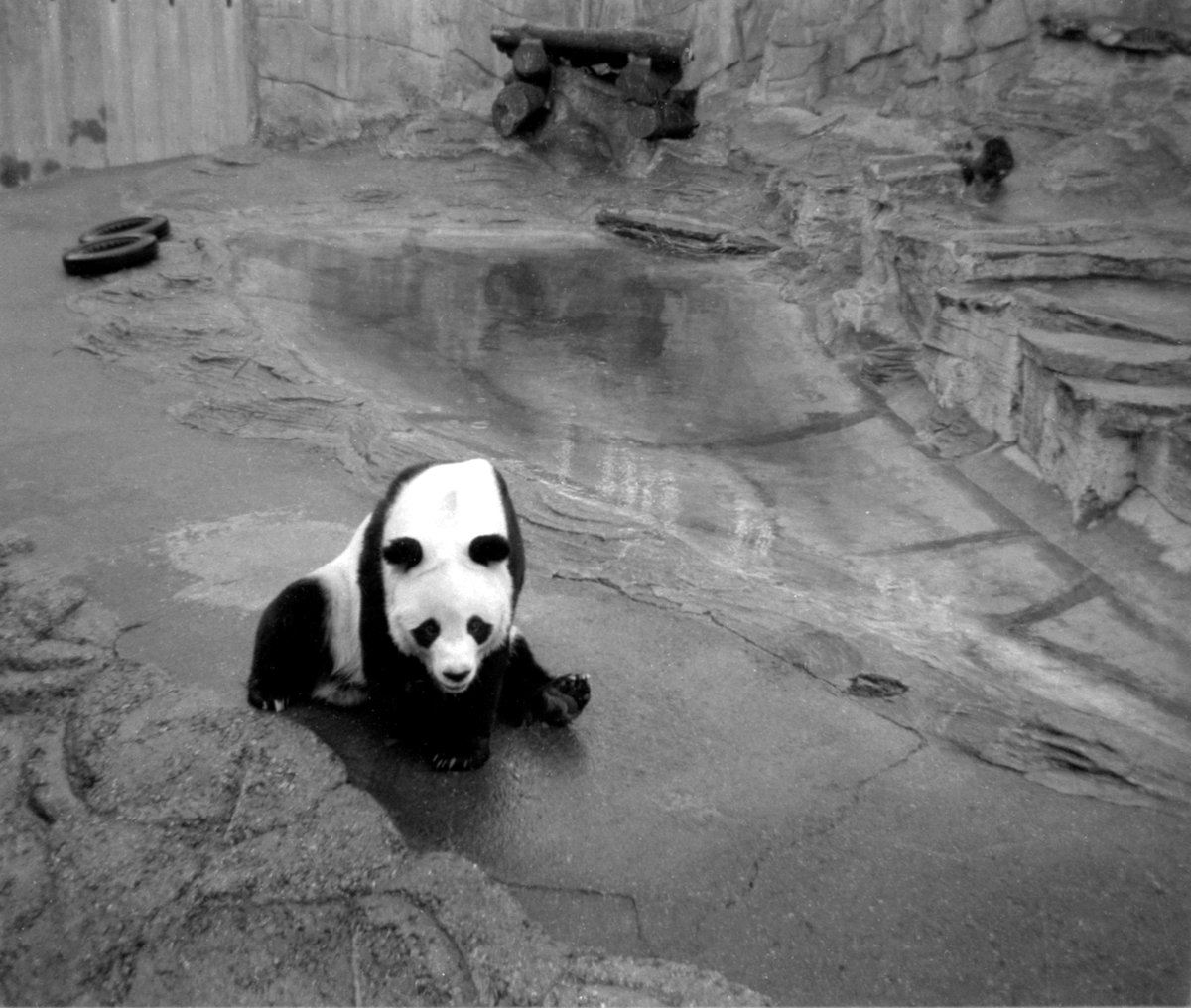 Mike Huskisson tweet media