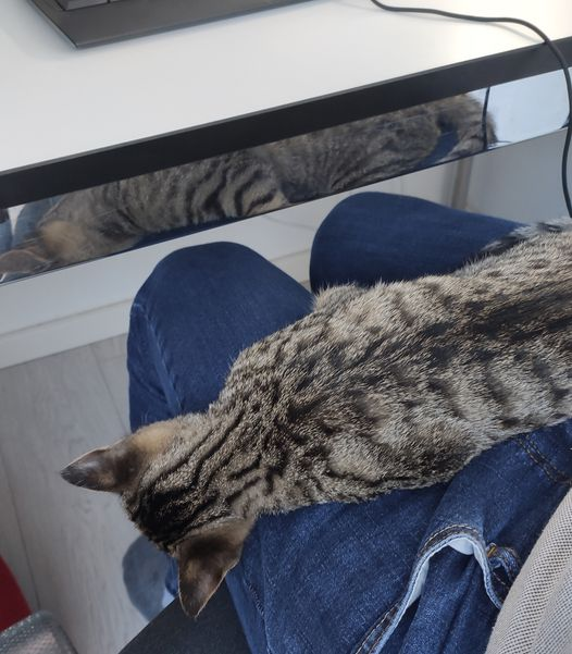 ontopower's tweet image. Die Heizkosten gehen ab jetzt wieder runter...