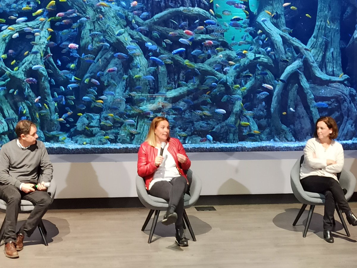 turismoguadaira's tweet photo. Hoy hemos acompañado a nuestros amigos de #Riverizate en el #Workshopinternacionaldeturismo en el @AcuarioSevilla dirigido al mercado italiano que está teniendo lugar en el @GOAuditorio
#Workshopvirtual #Turismo #Negocios #Networking #Sevillahoy #Sevilla
#ProvinciadeSevilla https://t.co/JN0q8SAbtl