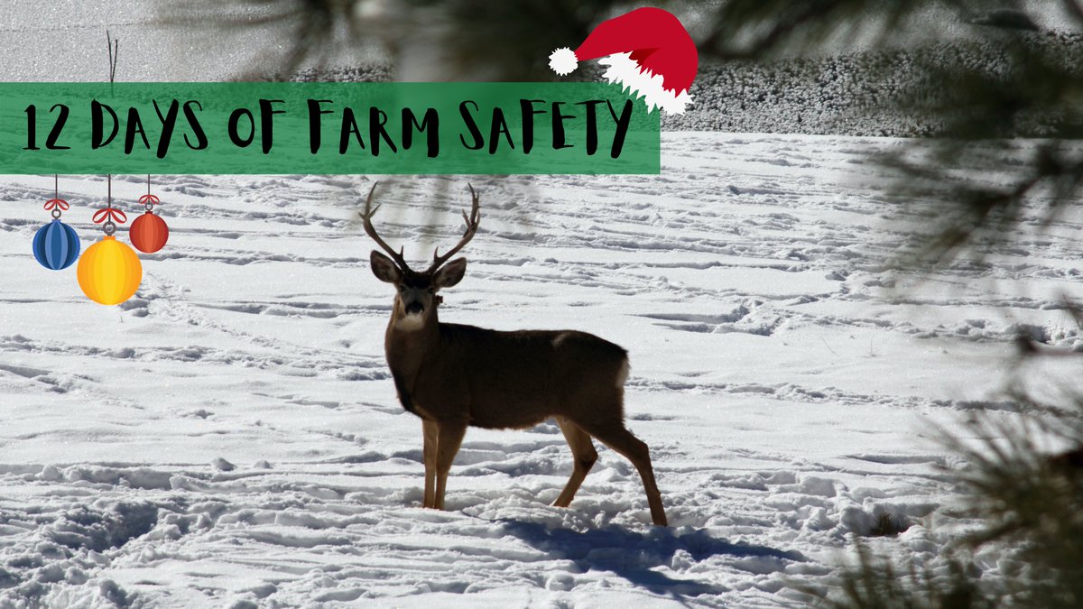 SafetyRev's tweet photo. 12 days of Farm Safety heading your way!
Stay tuned over the next 12 days👀 #essentialsafety https://t.co/GBxhywcX9D