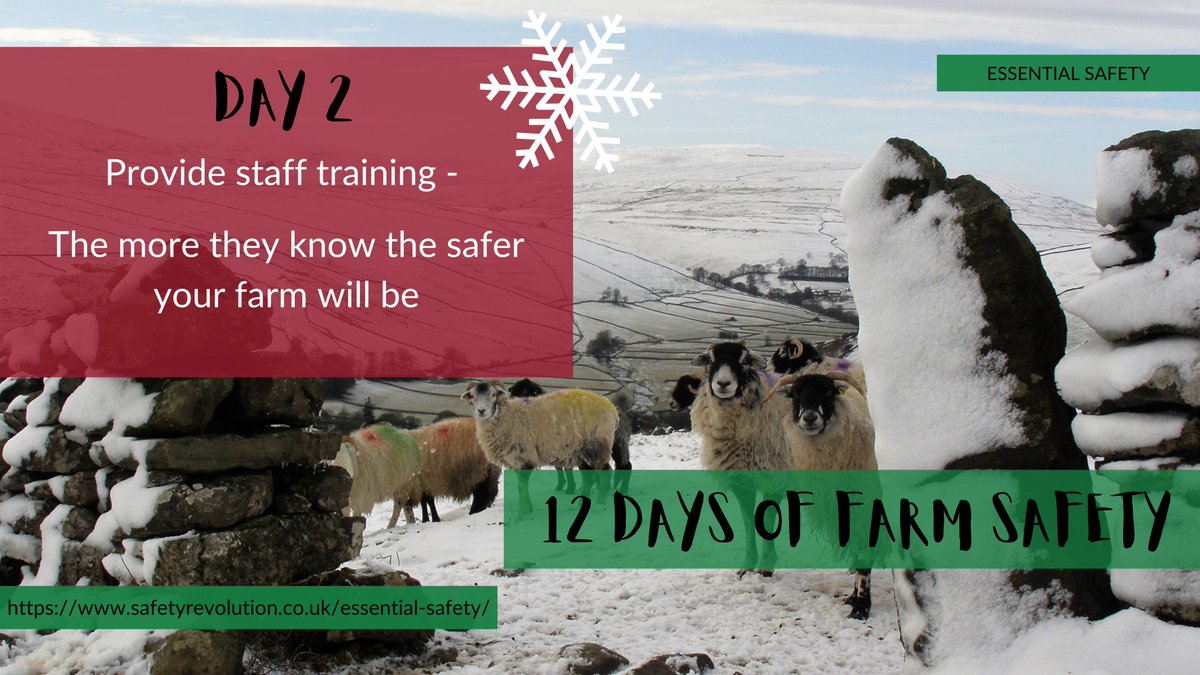 SafetyRev's tweet photo. Day 2 - Provide staff training 🗒️ #essentialsafety https://t.co/44mnyrORKA