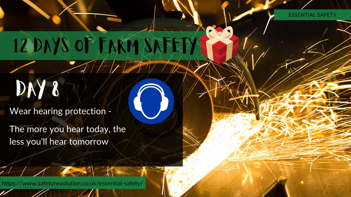 SafetyRev's tweet photo. Day 8 - Wear hearing protection 🪚 #essentialsafety https://t.co/tLUL3o3zdN