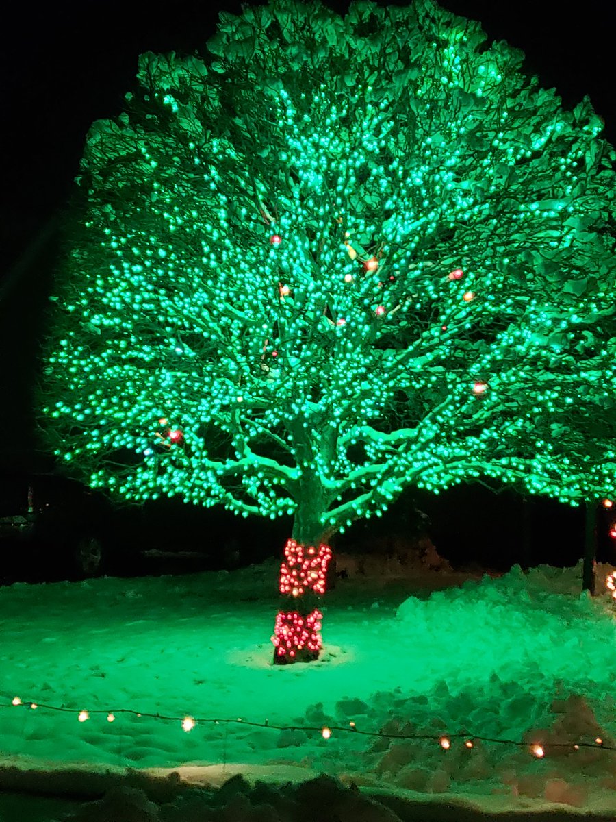 TheGlobalGal's tweet photo. Spotted these cool Christmas 🎄 lights! https://t.co/wwicP7RHEQ