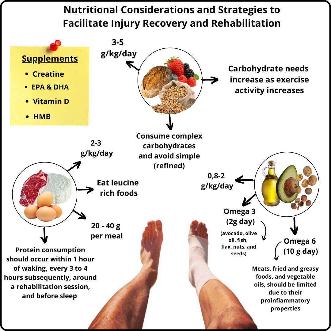 Josemigracia2's tweet photo. As a geek of nutrition during injury recovery &amp; rehabilitation, I highly recommend this great article.

📚https://t.co/4yrROKCUuk

I attach a brief summary. https://t.co/8TH3PJQ3GF