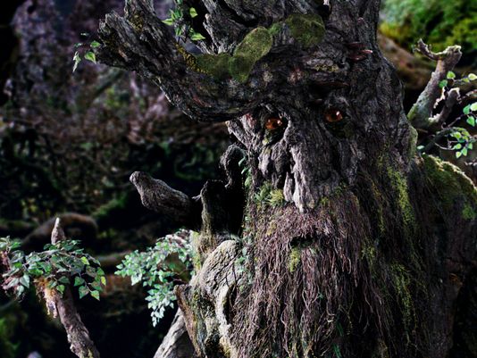 Come Back to Me! Come Back to Me, and Say My Land is Best!” The Search of  the Ents for The Entwives. | Wisdom from The Lord of the Rings