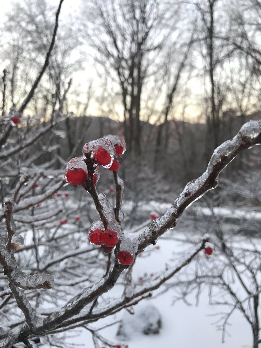 WintergreenPol1's tweet photo. Snow, sleet and ice are extremely treacherous and should be treated with great caution. Increase your following distance. It is best to increase your distance to about eight seconds. #safedriving #slowdown #winterdriving #drivingtips #WintergreenVA #VAwx https://t.co/mMB6f7LgeA
