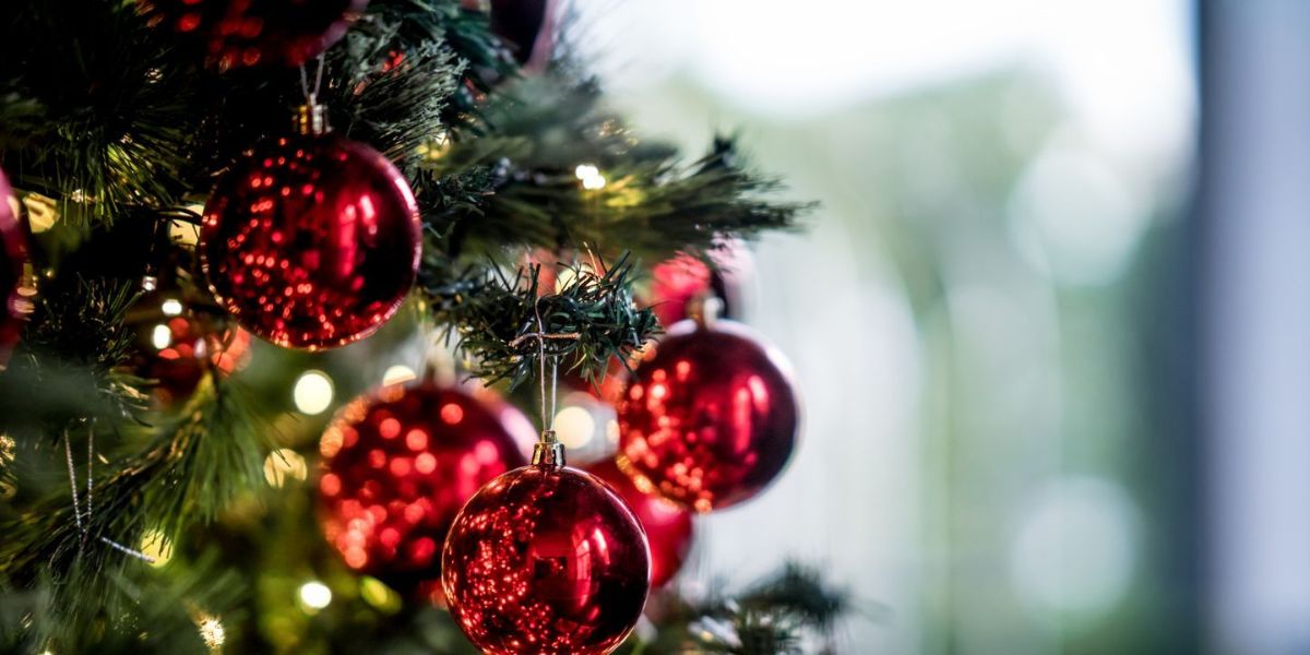 Opus4Tweets's tweet photo. The Five Days of Christmas - https://t.co/vwFLeF1WcJ https://t.co/guyBLBHab7