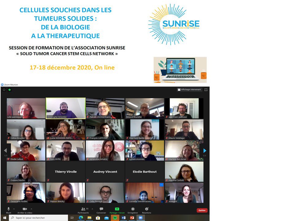 🚨First On line training session of the SUNRiSE network. Great speaker, great audience!