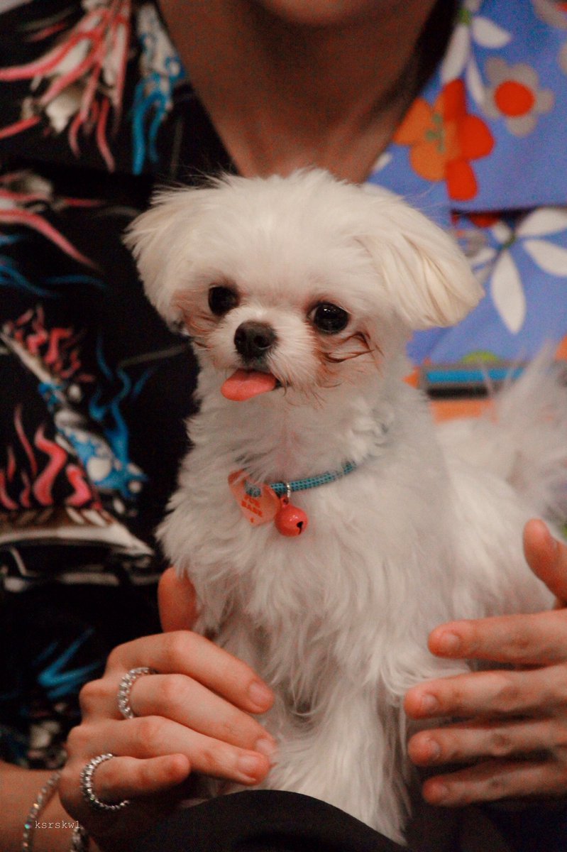 ksrskw1's tweet image. บี๋ค้าบ🥺🤏🏻💚 #บี่บี๋
@AtthaphanP