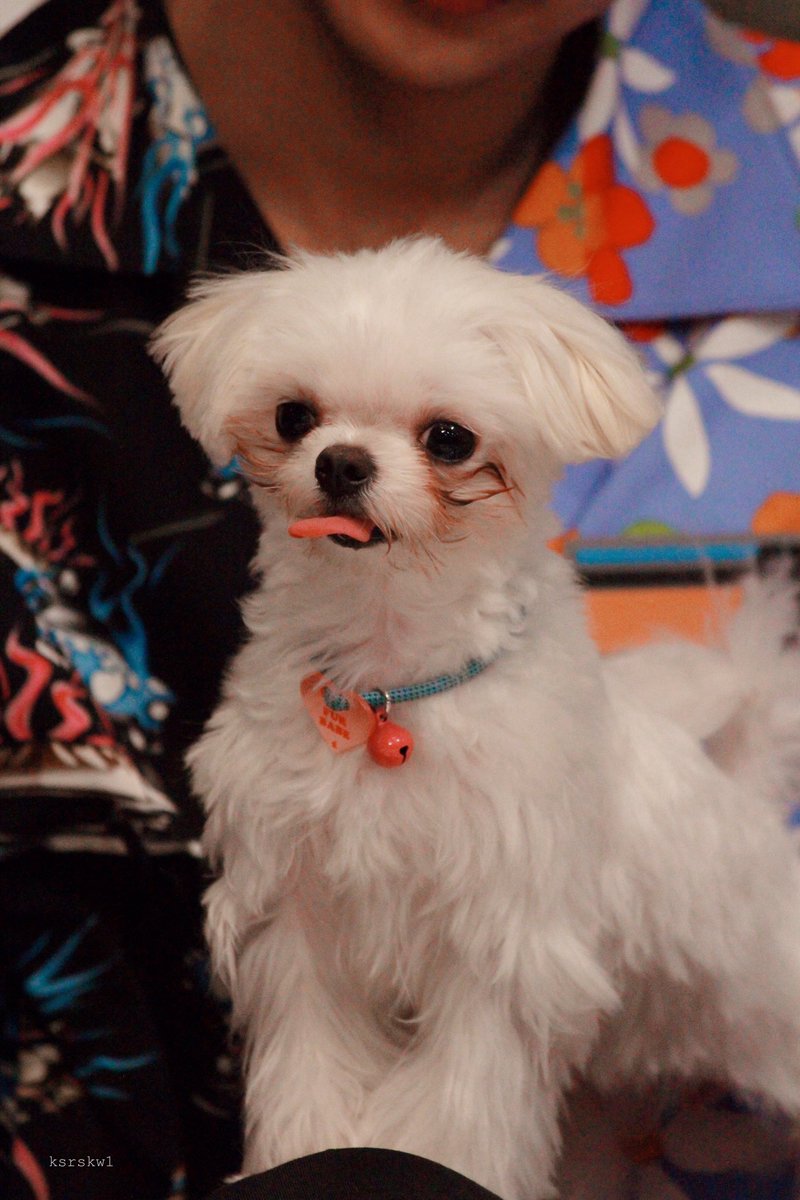 ksrskw1's tweet image. บี๋ค้าบ🥺🤏🏻💚 #บี่บี๋
@AtthaphanP