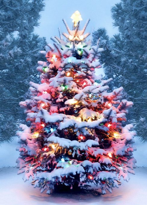 Next week, we will make sure any senior that needs a meal gets a holiday meal within the DC metro area. Please email name, address and phone number to secretsauceme@mediumrarerestaurant.com. If you care to support this effort, please visit feedthefridge.org.