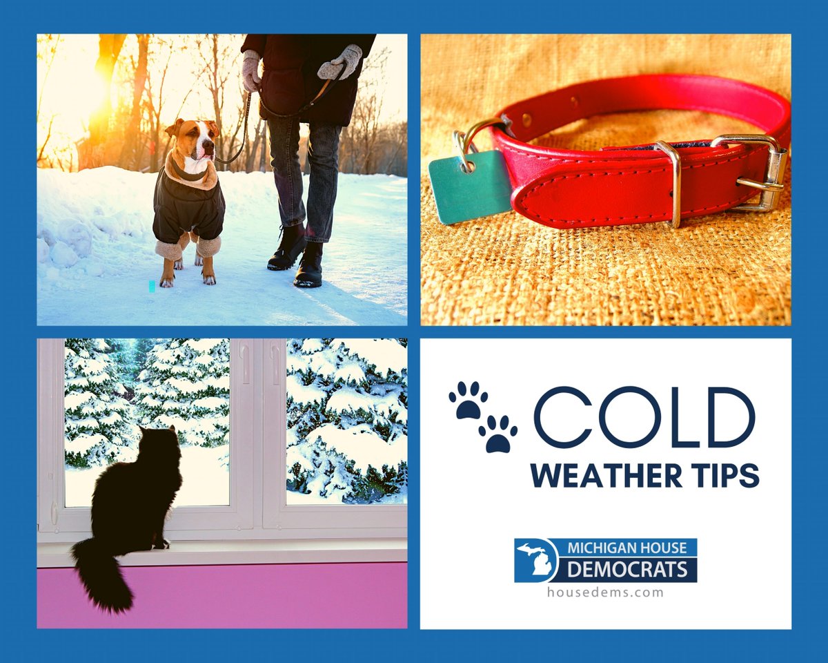 Make sure you bring your pets inside as the temperatures continue to fall. Pets need warm shelter and fresh water. Also remember to use pet friendly salt to melt the ice from your driveway and sidewalks.