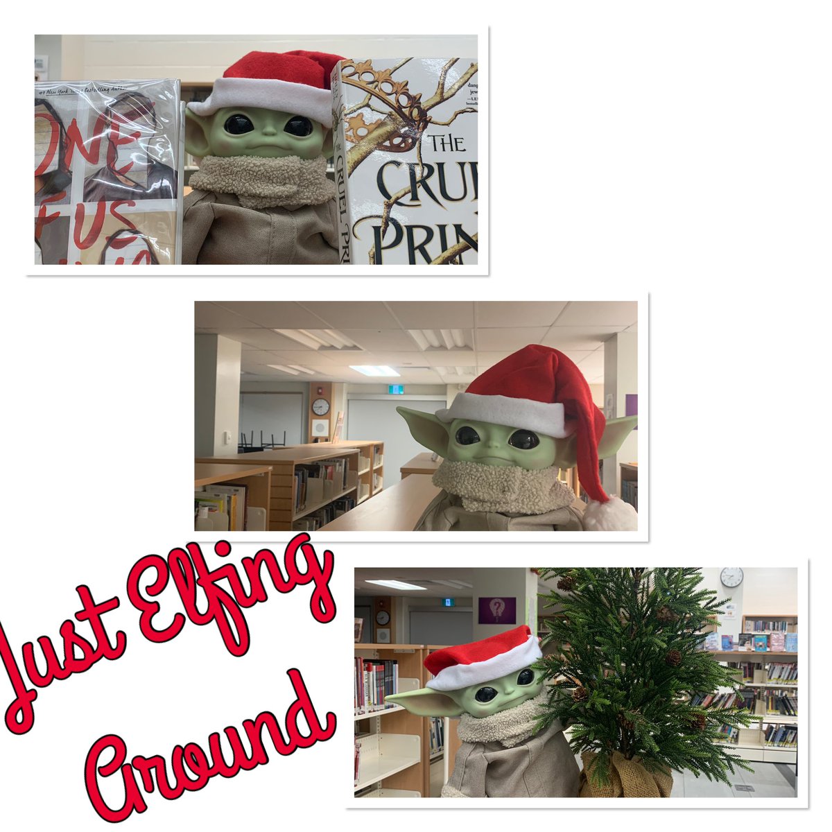 PortCreditLLC's tweet photo. Just Elfing Around! @PortCreditLLC @pslta @PortCreditSS https://t.co/TcHx2L2gqj
