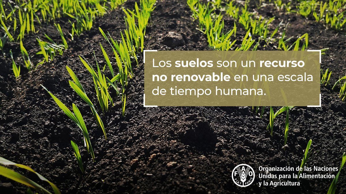 FAOenEspanol tweet picture