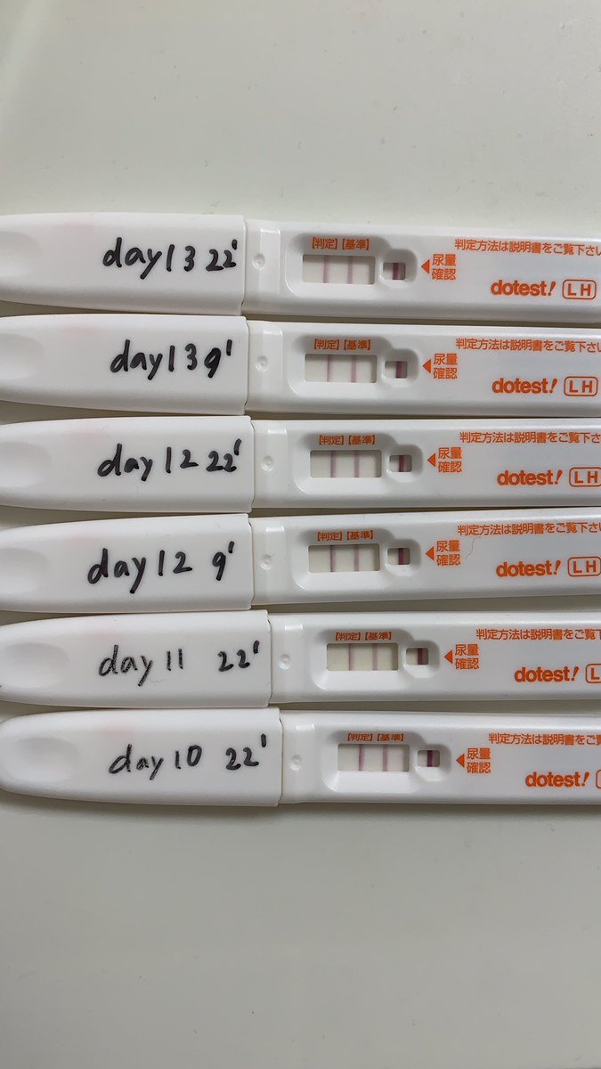 激安通販新作 ドゥーテスト排卵検査薬 妊娠検査薬 説明書のみ