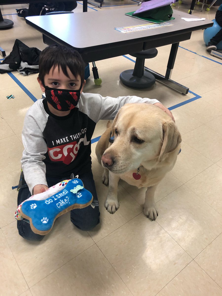 Happy 7th Birthday Milli! We love you!