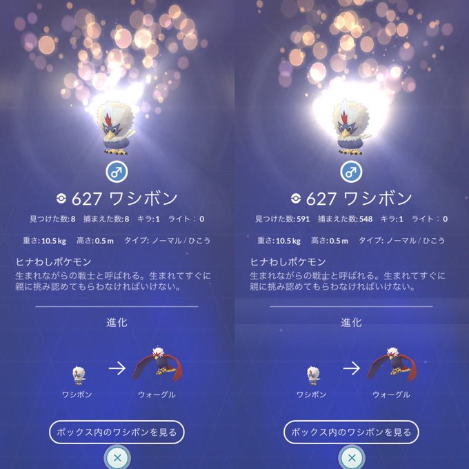 ポケモンgoで ワシボンレイド が話題に ポケgo トレンディソーシャルゲームス ポケモンgoで ワシボンレイド が話題に ポケgo トレンディソーシャルゲームス