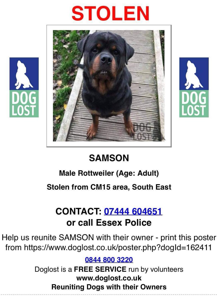 Hello everyone! Some of you may know me... we are on a mission to get Samson home! He was stolen from me on the 22nd of November. I need everyone as much as you guys can just click that share button, follow my Facebook group (link in bio) and an Instagram <a href="/helpfindsamson/">HELP FIND SAMSON</a> #dog