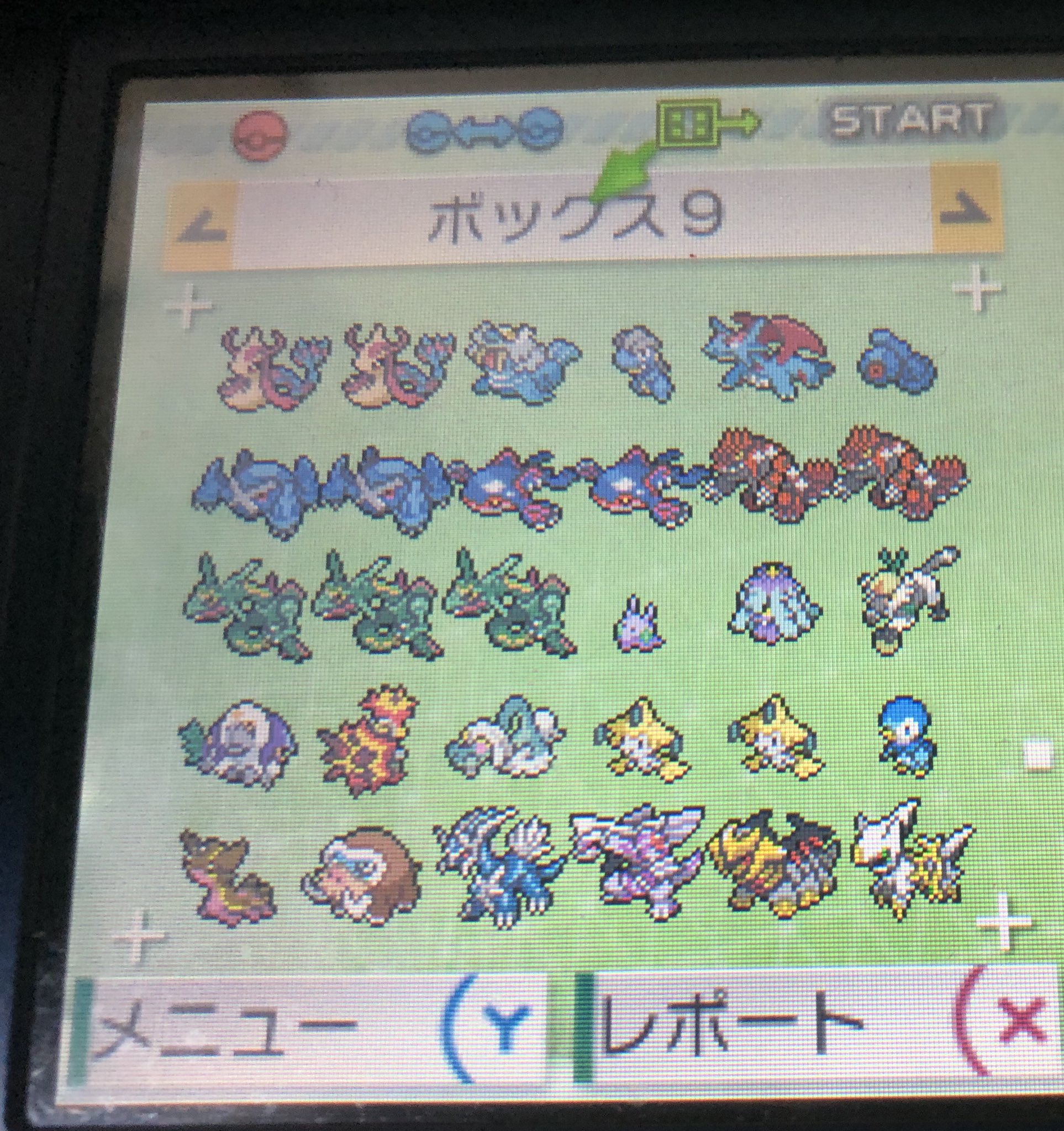 はゆあ No Twitter 出 7世代までの過去作配布色違いポケモン全種類 国内外問わず 求 アマギフitunespaypayメルカリ等電子マネー 3000円 個体の詳細は聞いてください 九州配布 ピカピカ春祭りタマゴサーチャーポッチャマ韓国たつどし色違いあります ポケモン販売 はゆあ No Twitter 出 7世代までの過去作配布色違いポケモン全種類 国内外問わず 求 アマギフitunespaypayメルカリ等電子マネー 3000円 個体の詳細は聞いてください 九州配布 ピカピカ春祭りタマゴサーチャーポッチャマ韓国たつどし色違いあります ポケモン販売