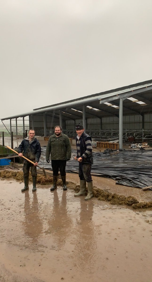 bernardfoley00's tweet photo. Busy 3 months, final load of concrete down today just before the rain. Few finishing touches over the nxt week and should have everything home in the one yard for the Christmas dinner #dreamteam @PaddyHallissey #teamdairy https://t.co/QK236QjekN