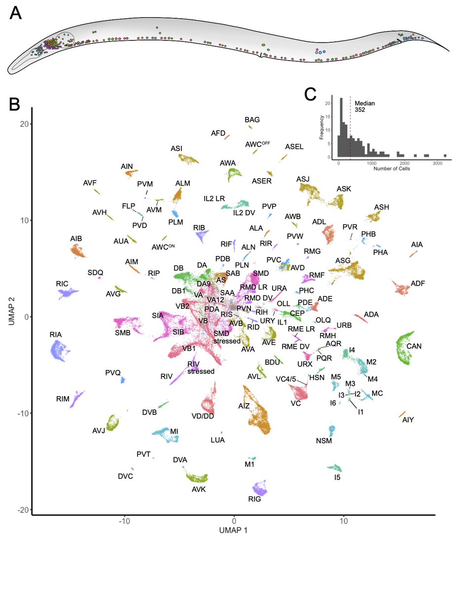 cengenproject tweet media