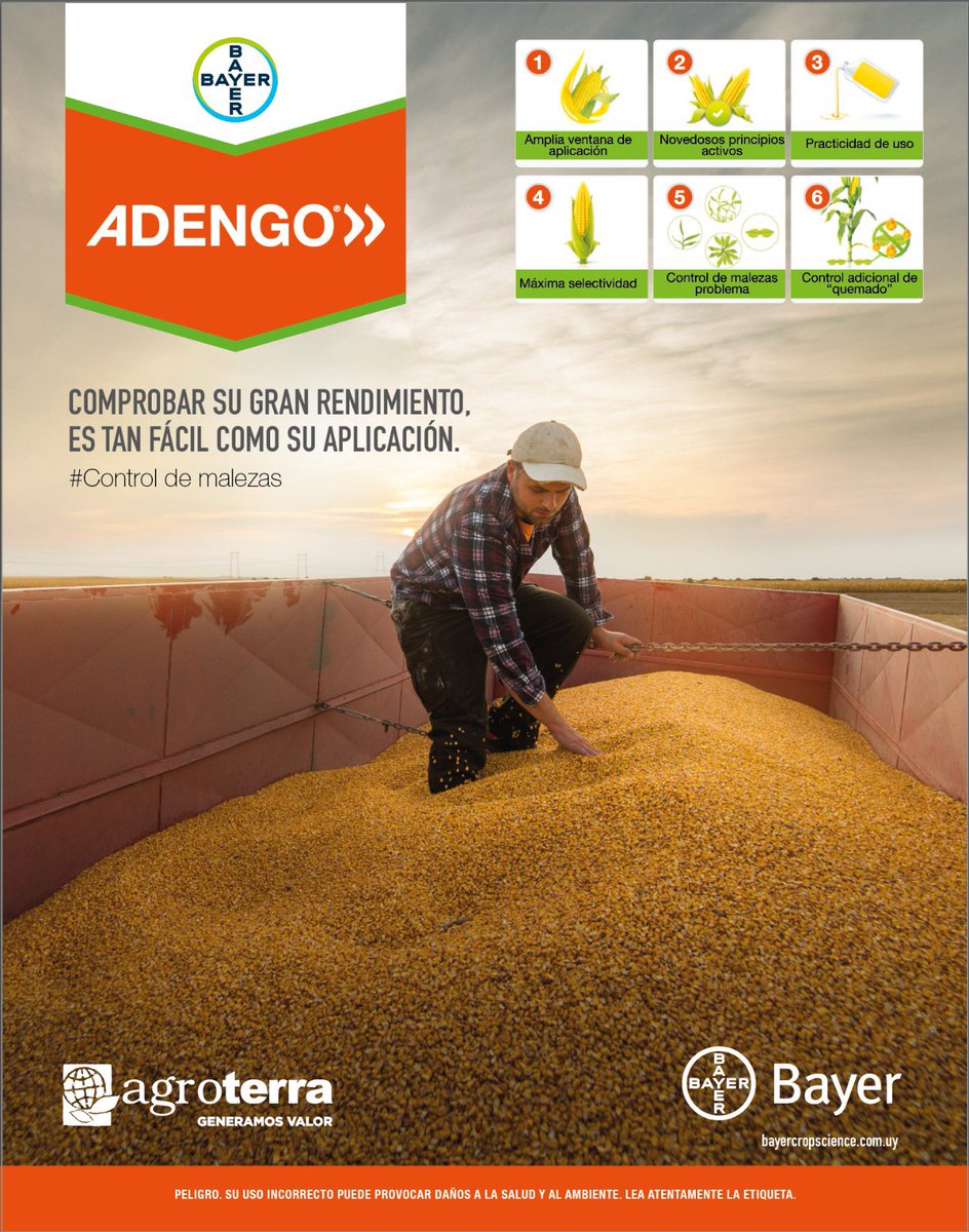 agroterrauy's tweet photo. 🌽 #ControlDeMalezas 
A tu maíz de segunda protegelo de las malezas con #Adengo 
Novedoso principio activo con amplia ventana de aplicación. Máxima selectividad en el cultivo con excelente control de malezas problemas. 
@agroterrauy 
@Bayer4CropsAR 

#CultivandoElFuturo https://t.co/FjpZzAbLRd