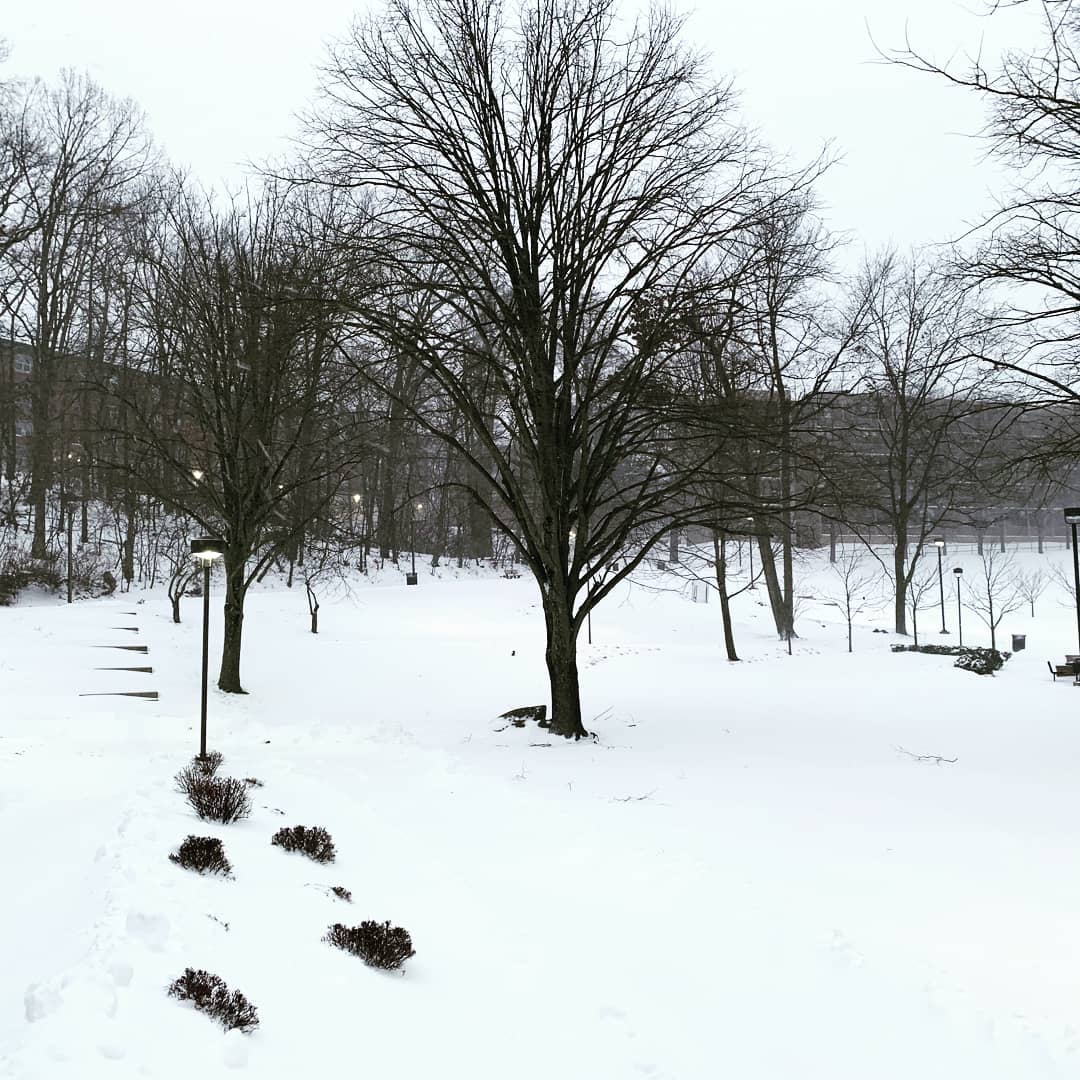 wpunj_edu's tweet photo. Winter Wonderland ☃️ https://t.co/y8XWeIlp8s