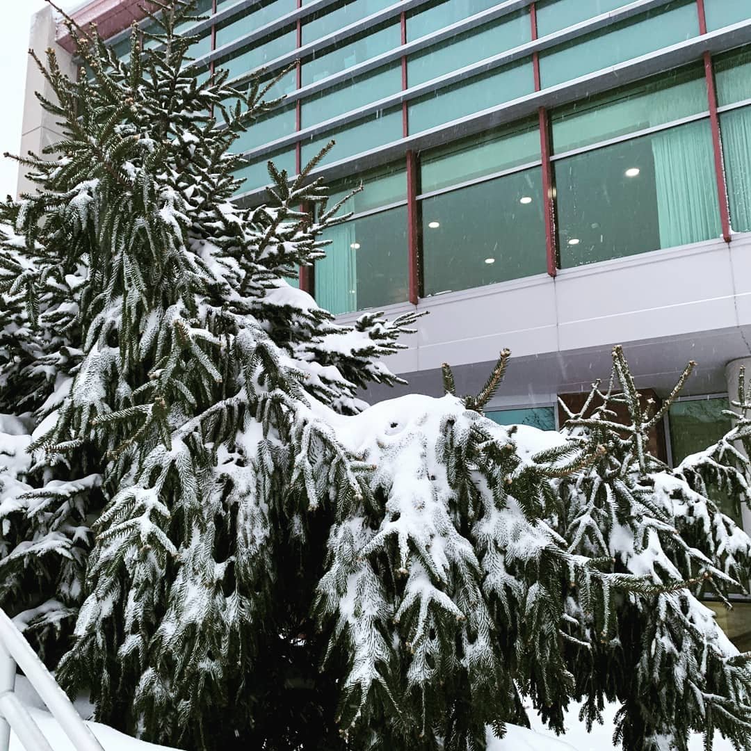 wpunj_edu's tweet photo. Winter Wonderland ☃️ https://t.co/y8XWeIlp8s