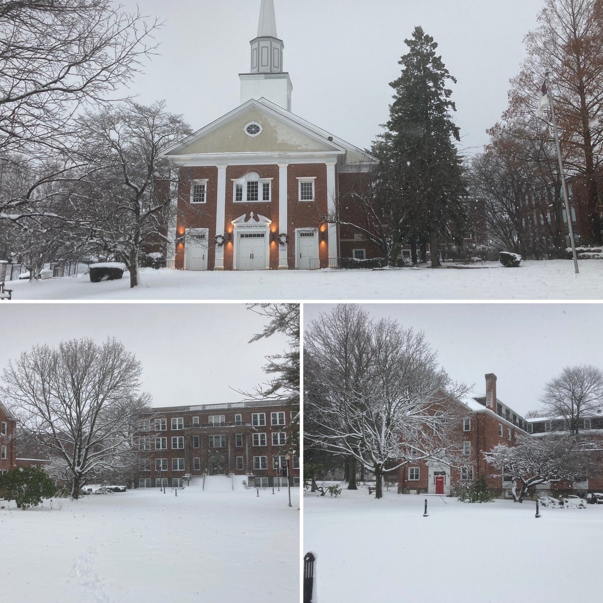 Jack Connell tweet media