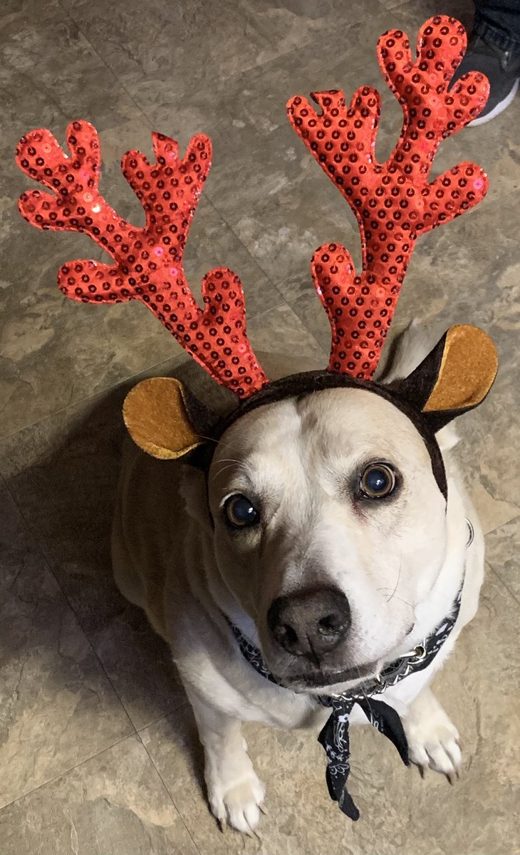 kat5335's tweet photo. Merry Christmas!! https://t.co/LtKr5EYU2X