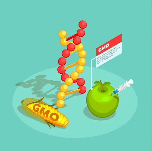 bhaconf's tweet photo. Genetic engineering refers to the juggling of DNA to modify an organism’s genetic characteristics in a certain way. How does it work? Check out the blog to know more.
https://t.co/HSjdtMA5LZ
#biohackersassemble #hackforlife #geneticengineering #DNA https://t.co/jJsxZ4PApc