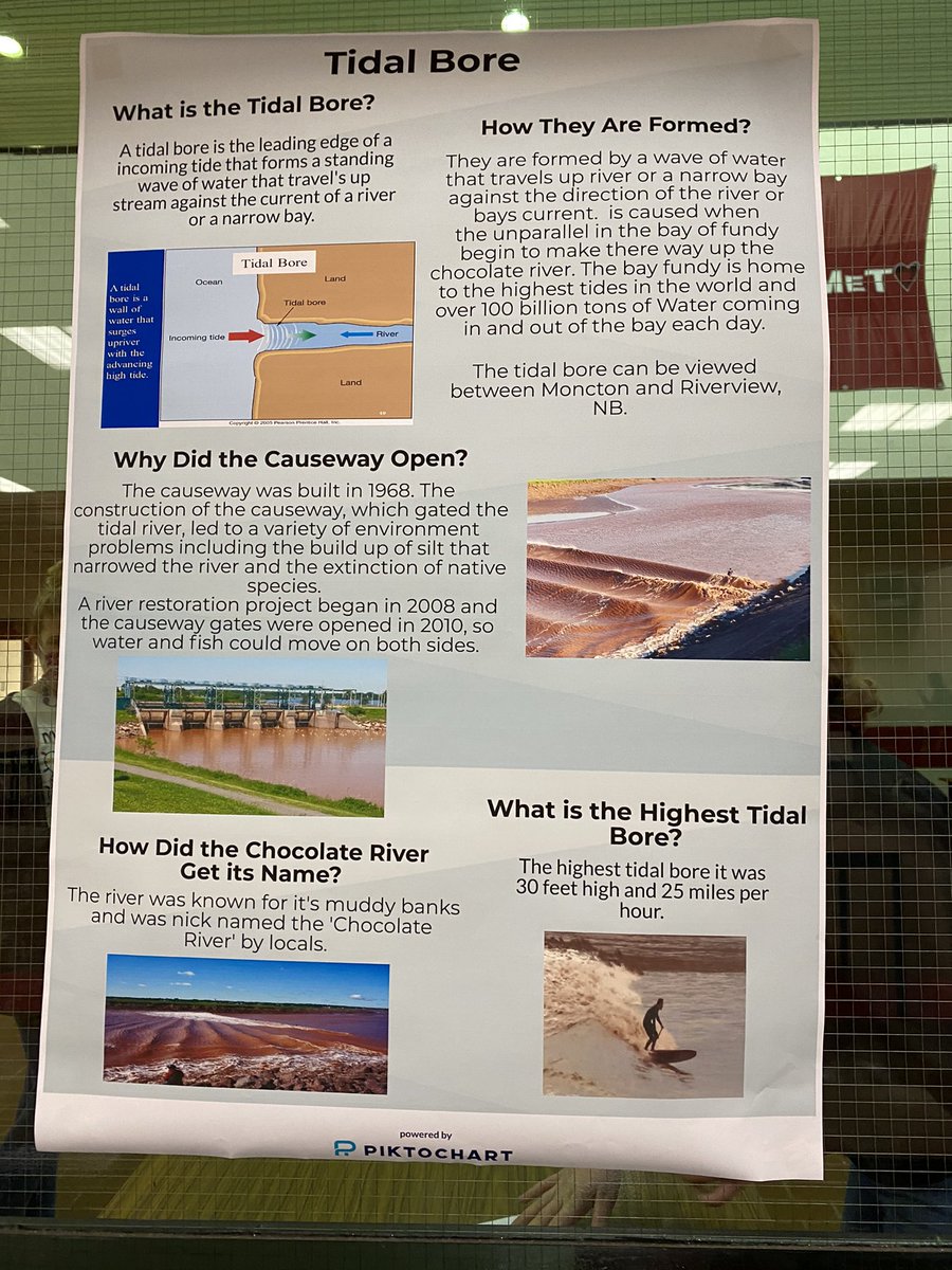 celine_gallien's tweet photo. Today some gr 9 students showcased their Wonderwall projects by hosting a Wonderwalk. They were beaming with pride over their work. @Down2aScience @AnglophoneEast @Londyn_Irving @kjon52 #asdelearns https://t.co/JlgacSv3s6