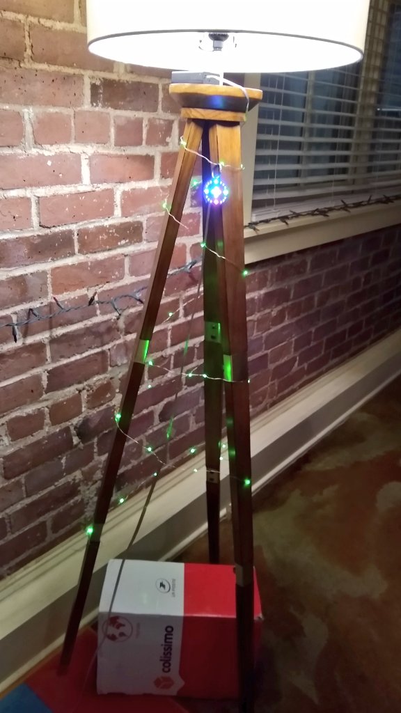 Florian Carle tweet media