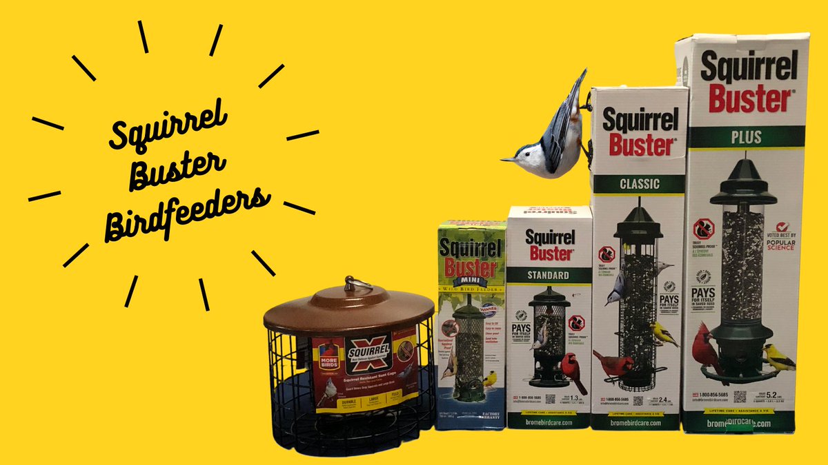 StormWorksPGH's tweet photo. Looking for a gift for the bird lovers in your life? We've got you covered! Check out our range of Squirrel Buster Bird Feeders - perfect for gardens of every size!

Visit the link below to place an order for pick up. https://t.co/BfF5Fn9rfc https://t.co/06OqNTOHUd