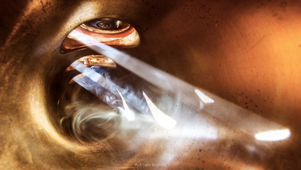 MozartCultures's tweet image. Müzik aletlerinin içinden fotoğraflar
📸 Adrian Borda