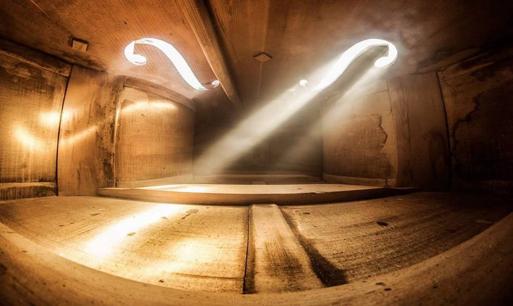 MozartCultures's tweet image. Müzik aletlerinin içinden fotoğraflar
📸 Adrian Borda