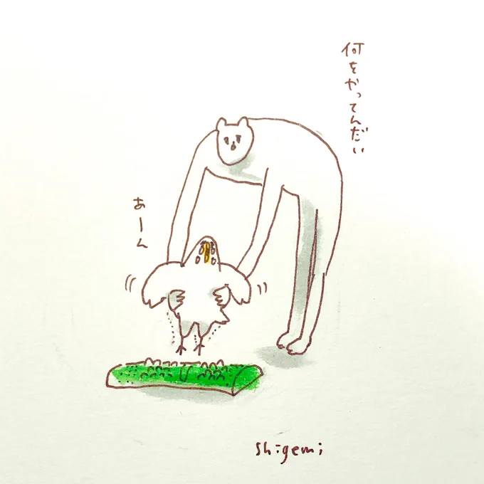 救助 
