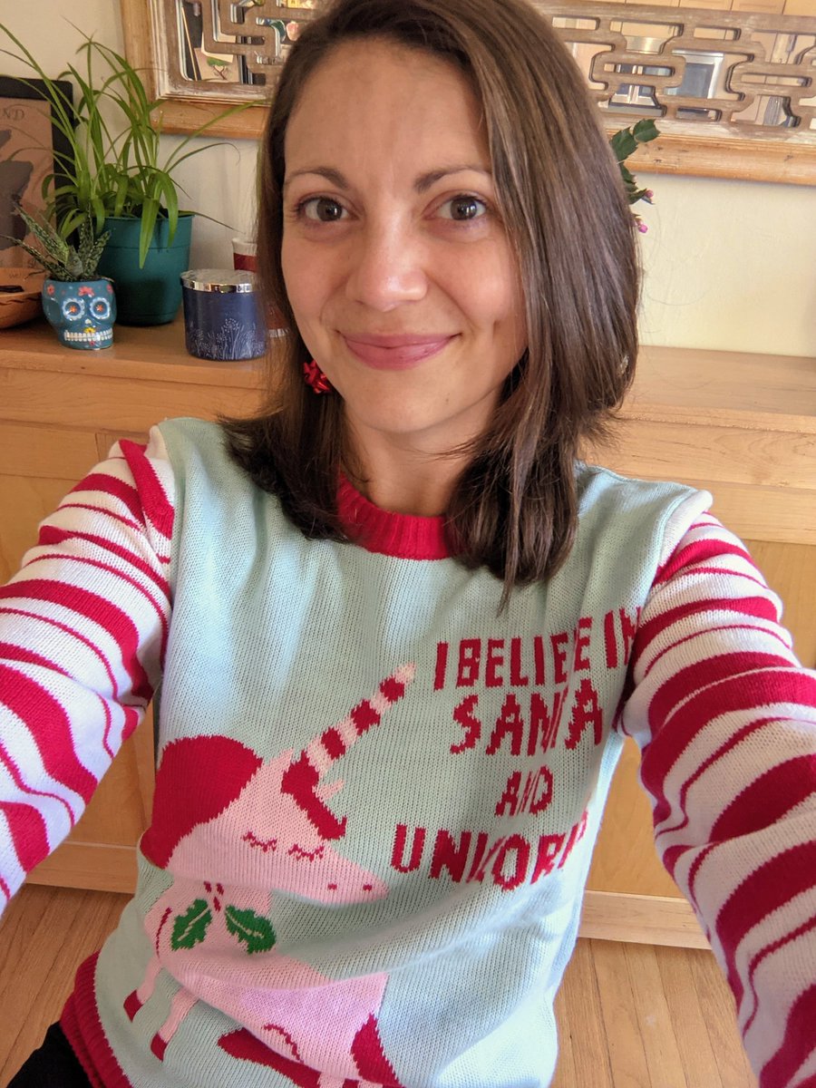 AughenbaughKate's tweet photo. Rocking the ugly sweater for the last day of virtual teaching before break! #whsspiritweek #warhill https://t.co/7aIejsWkvn