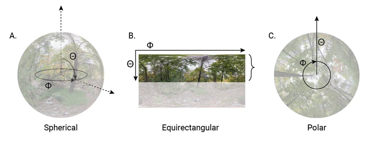 The photo spheres are saved as 2D projections (like a world map). I realized that if you extract the upper half of the image and remap it onto polar coordinates, you get a hemispherical image with perfect polar projection. 6/n