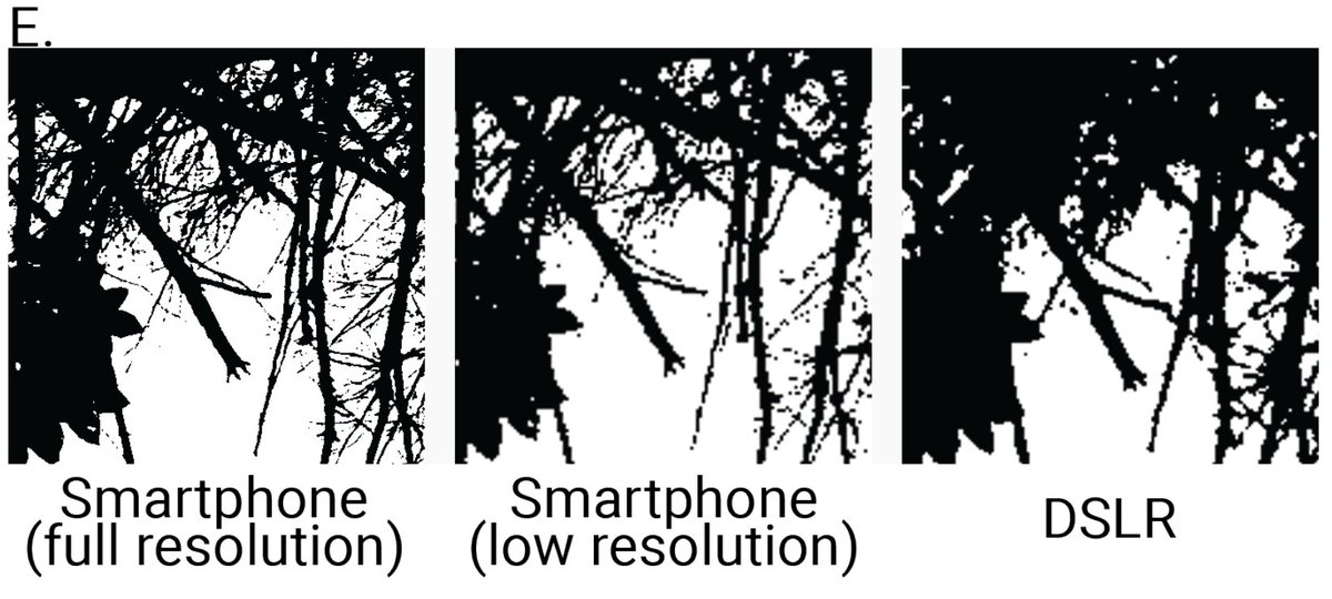 Plus the phone hemi photo has much higher resolution because, unlike DSLRs, the phone image is stitched together from many images. This means it retains more detailed canopy structure = better estimate (even when downsampled to comparable resolution). 7/n