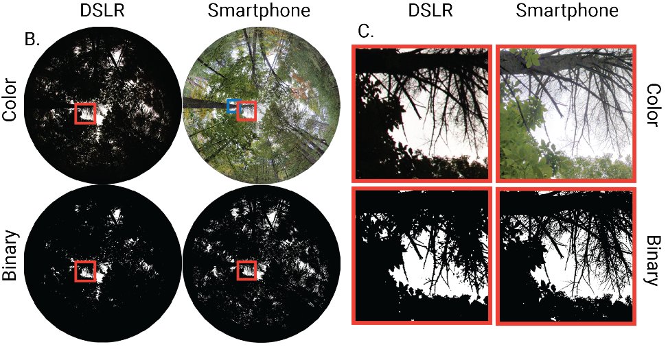 It also means that the resulting hemi photo is evenly exposed across the image, so there is no need to fiddle with exposure settings, making estimates far more robust and accurate. 9/n