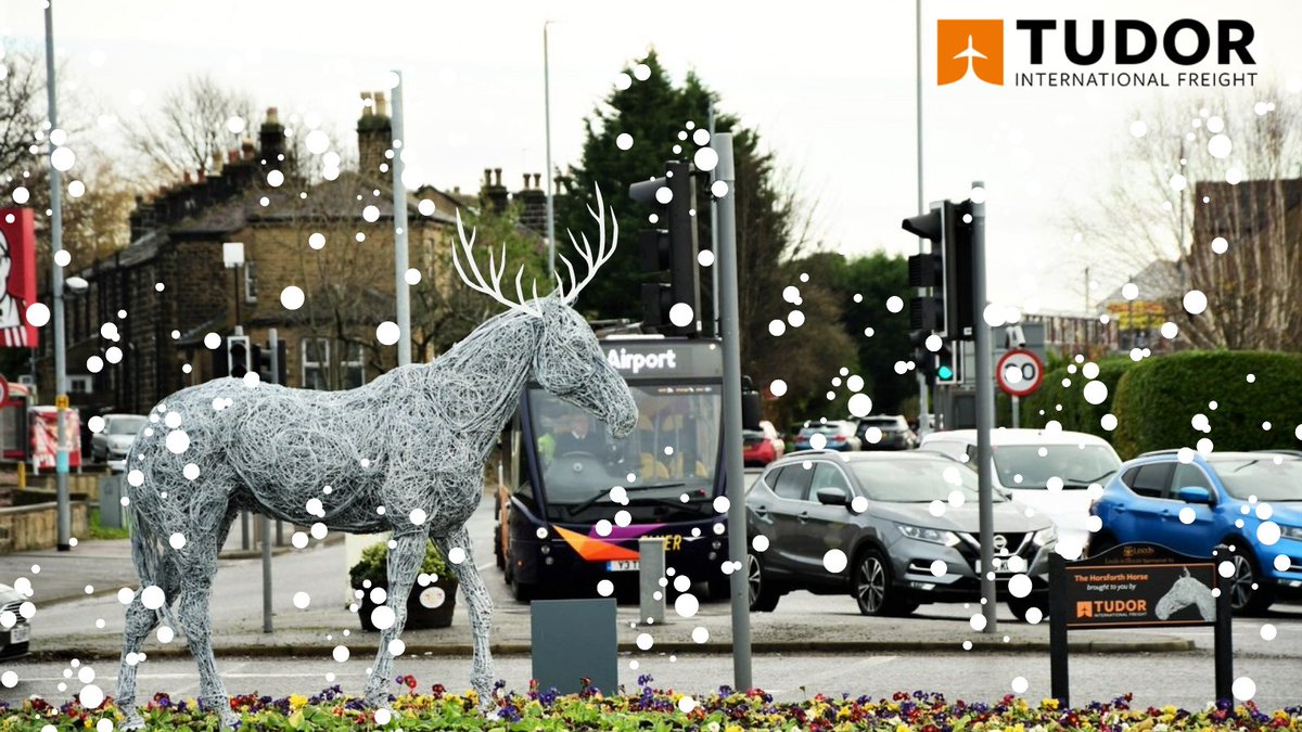 Merry Christmas from the #HorsforthHorse and from us all at Tudor Freight International!🐴❄️ 

Even our horse is getting into the Christmas spirit, although we're not sure if he would qualify as one of Santa's reindeers!