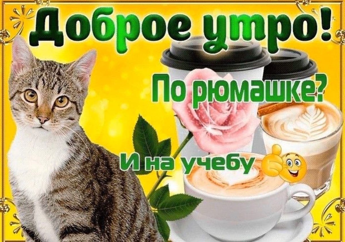 Good morning! 
one drink and we go to school