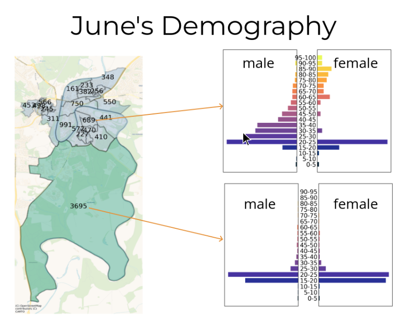 The demography is also very detailed, including people’s age, sex, ethnicity, socio-economical status, work location and work sector. In the picture you can distinguish the age-sex distribution of Durham Uni college area (big area in green), and the one where HM prison is.