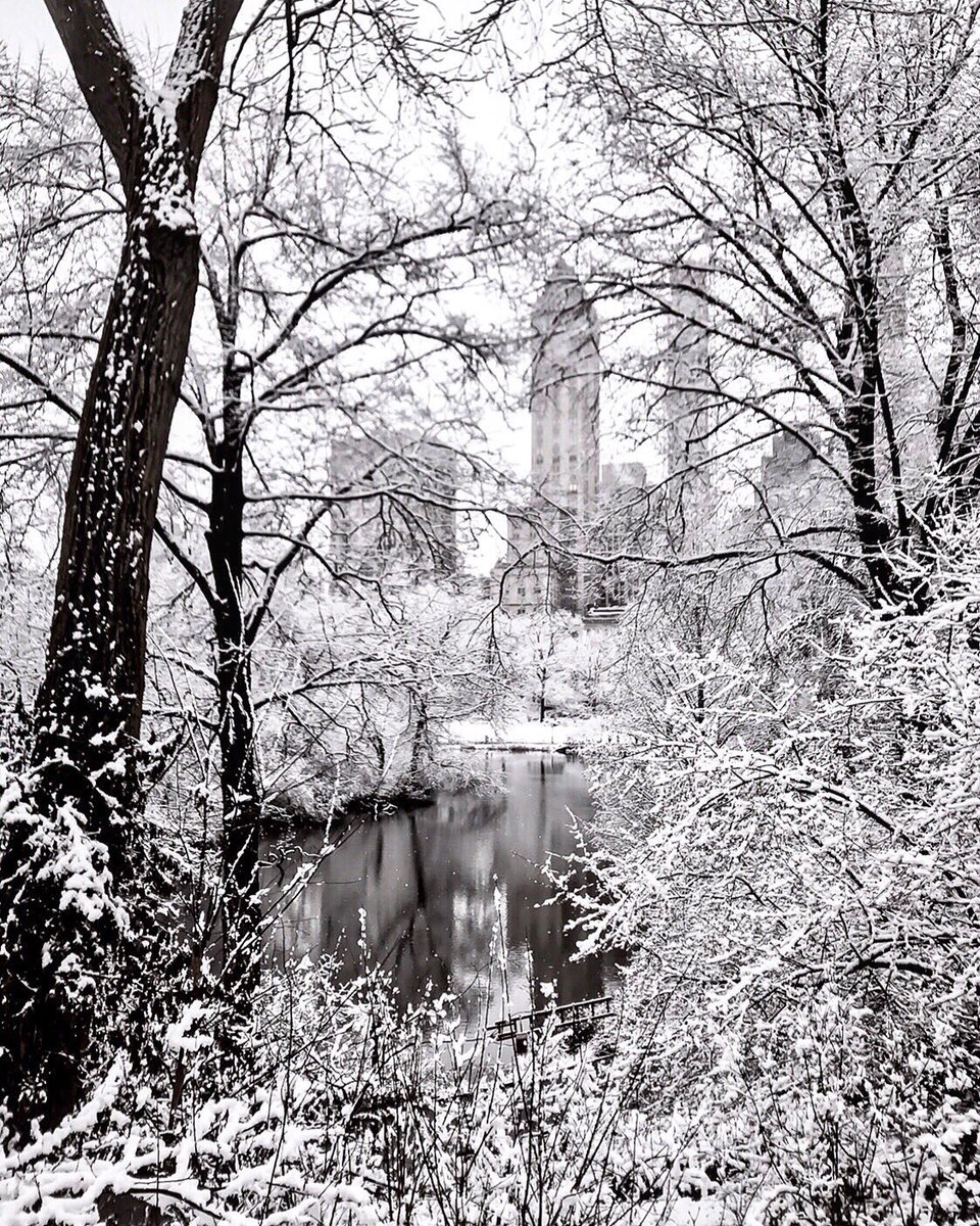 MeredithFrost's tweet image. #nyc