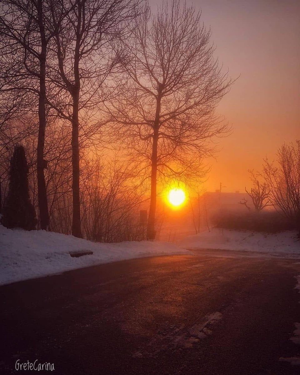 ImagePudding's tweet photo. Sunsets in Sweden
#imagepudding #puddingfamily #iptweets #photography #photographer #sunset #sunsets #sweden #nature #beauty #beautiful #winter #WinterWonderland https://t.co/4V95wHtt3s