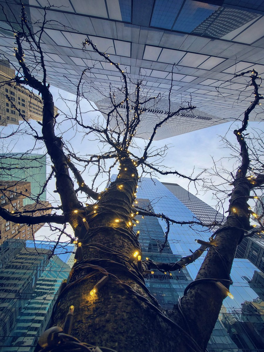 iamwaynegilbert's tweet photo. "It's Christmas Time in the City." #NYC #SantaClausIsComingToTown #Smile #HolidaySeason #Photography #Samsung #GalaxyNote20Ultra #PhoneofTheYear #ProGradeCamera #withGalaxy #giftGalaxy #Family #Friends @SamsungMobileUS https://t.co/QuGTUSw627